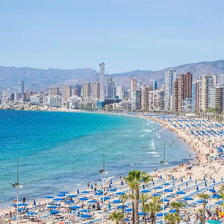 Veracruz 18 Benidorm