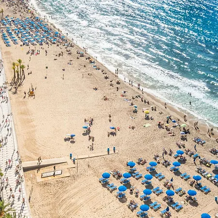 Veracruz 18 Benidorm